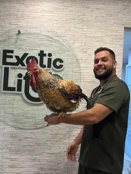 Integrante da equipe Exotic Life segurando um galo em frente à marca da clínica