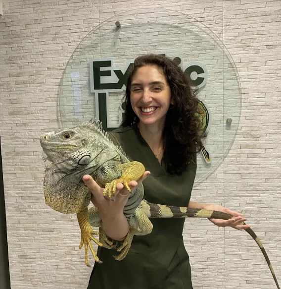Integrante da equipe Exotic Life com uma iguana apoiada nos braços